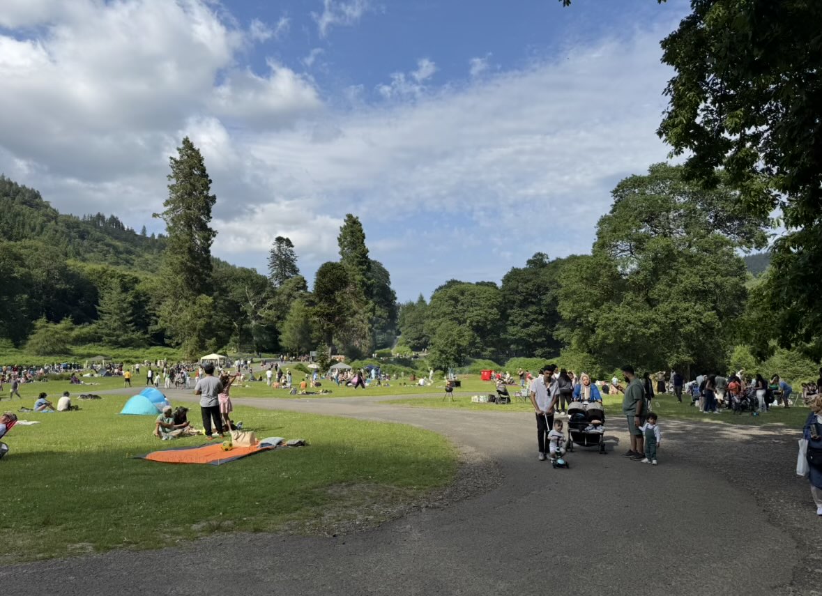 malco gido tweet media