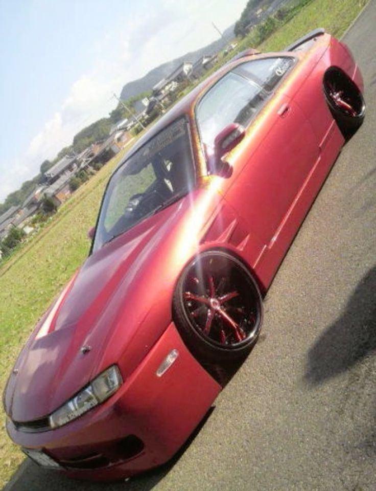 Photo　poto tweet media