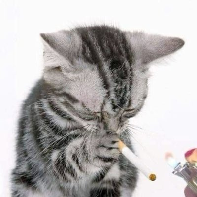 pensando en lo q pudo haber sido