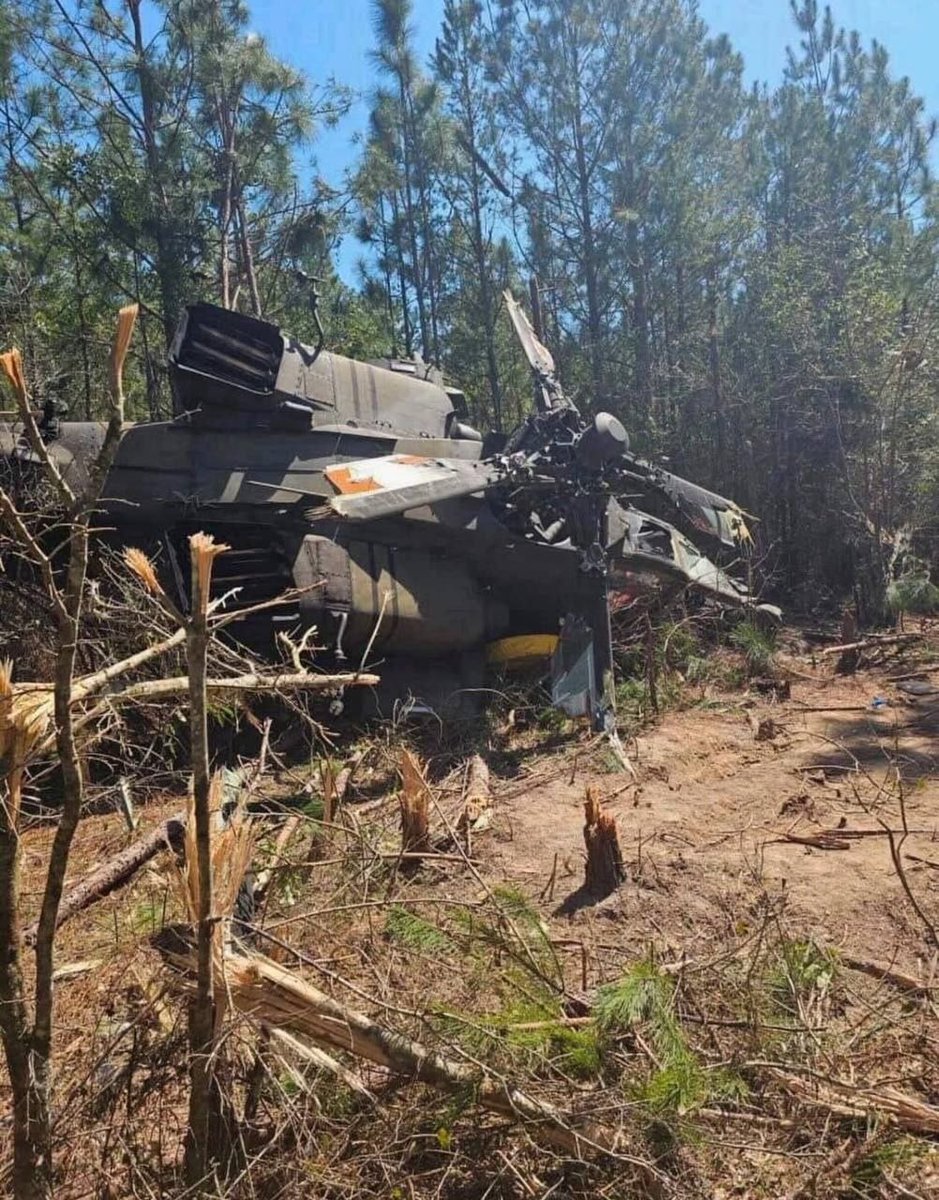 China pulse 🇨🇳 tweet media