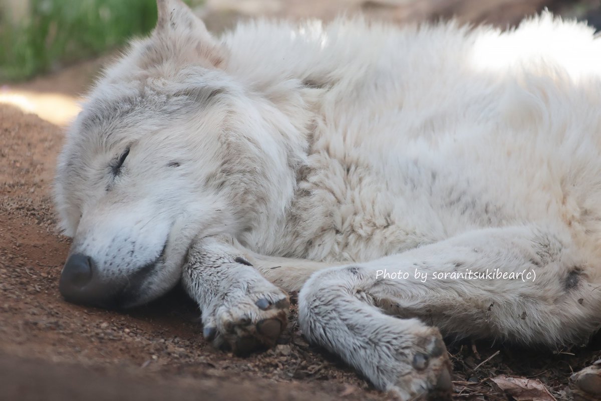 A̷̡̖̼̲̖͎̦̣͔̤̟͖̳̔̉̊̓̇̋̌͝͝͝ͅw̶̫̬̣̟̼̭͖̰̣̥̯͍̜͙̋̓͘͜o̸̾̕ tweet media