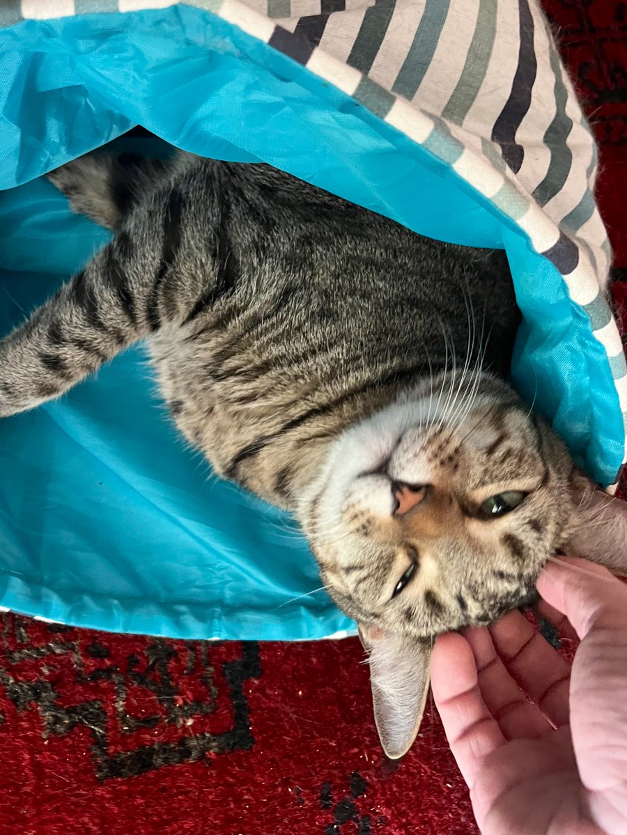 Dave Krantz tweet media