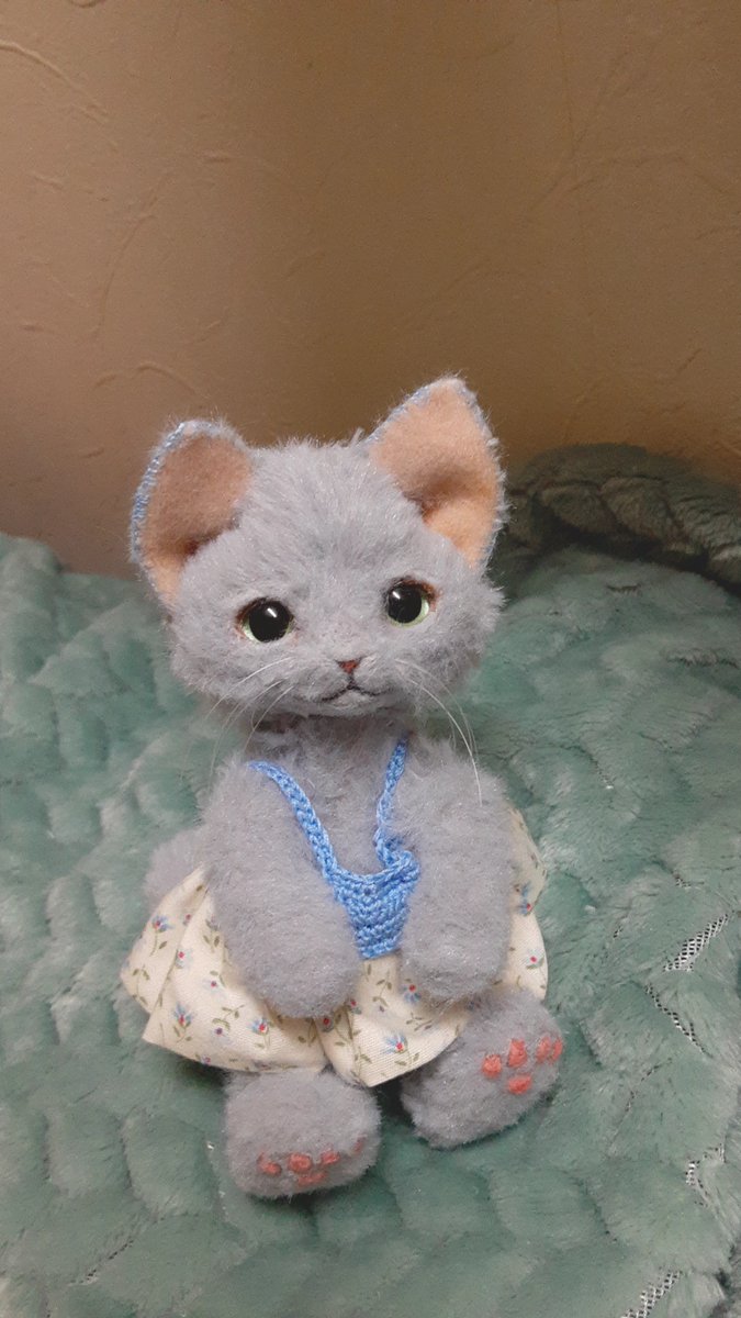 たぶん、ねこ tweet media