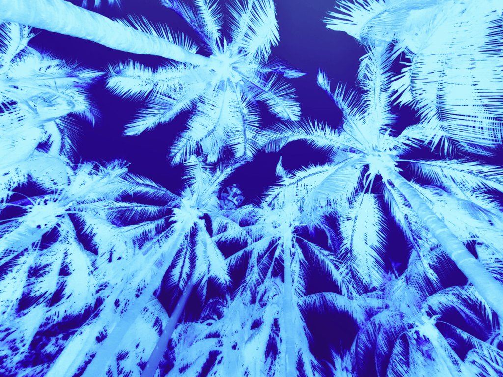 вернись в сорренто tweet media