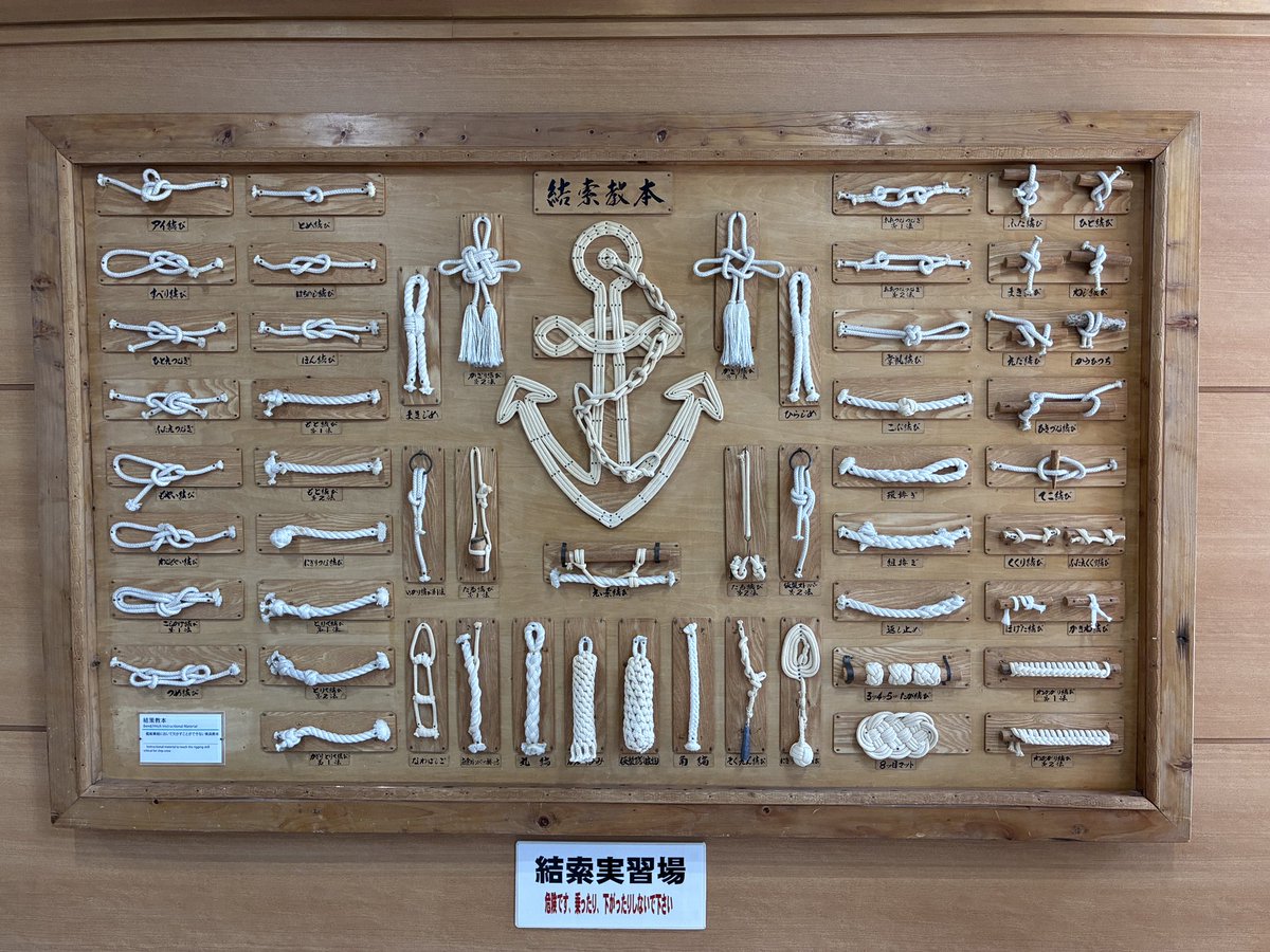 紫苑三世 tweet media