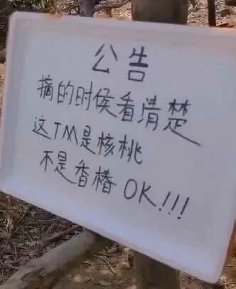 禿道道🐟 tweet media