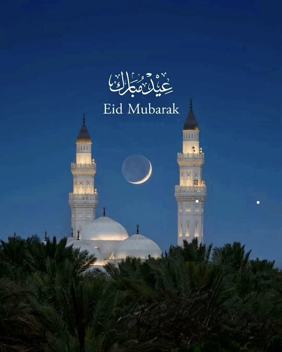 abdullyhs's tweet photo. https://t.co/NlIeUva9yp