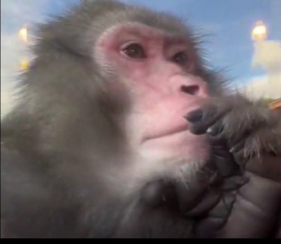 jurídico kwon tweet media