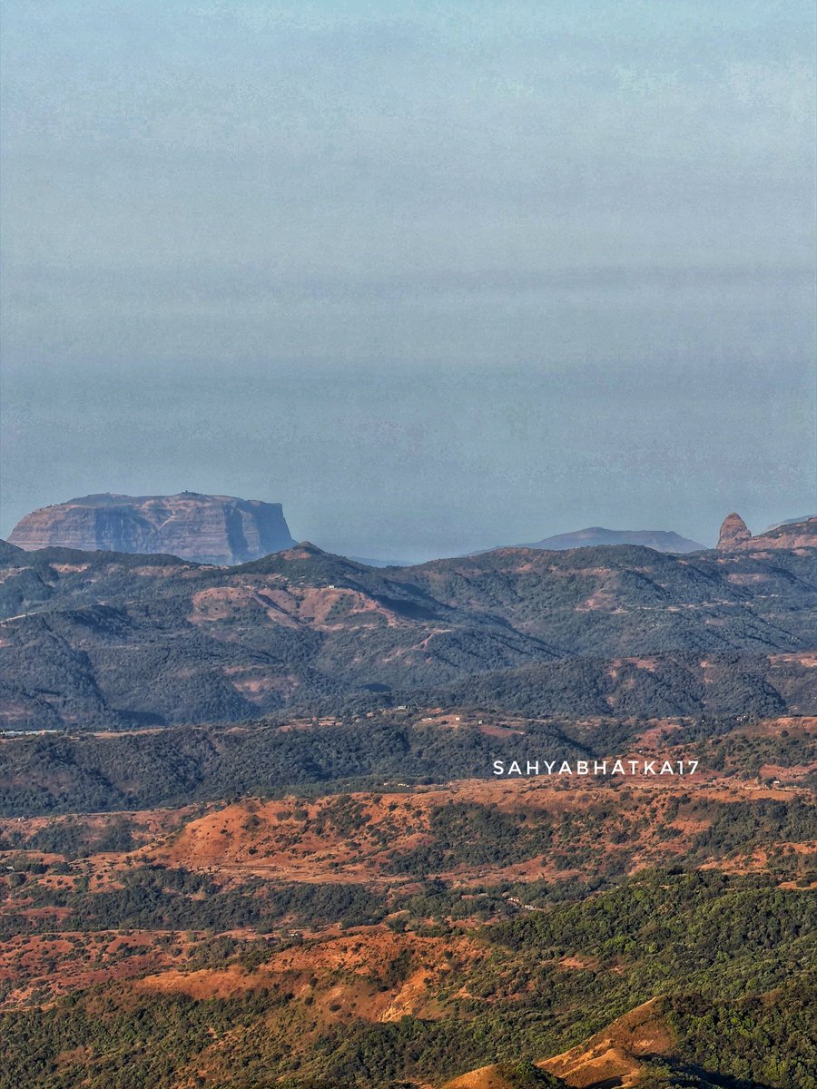 सोनू बालगुडे पाटील🚩 tweet media