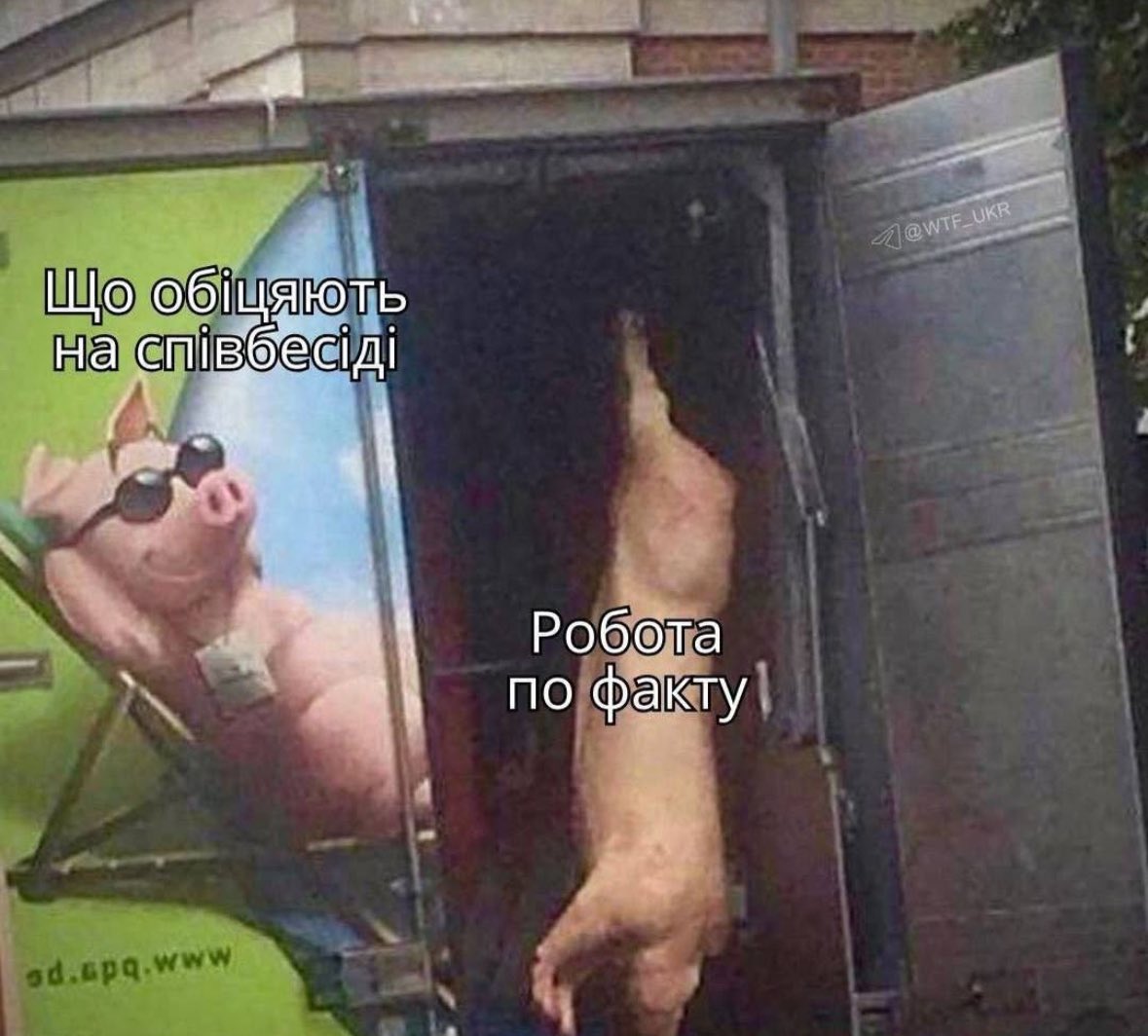 Kaszka Manna tweet media