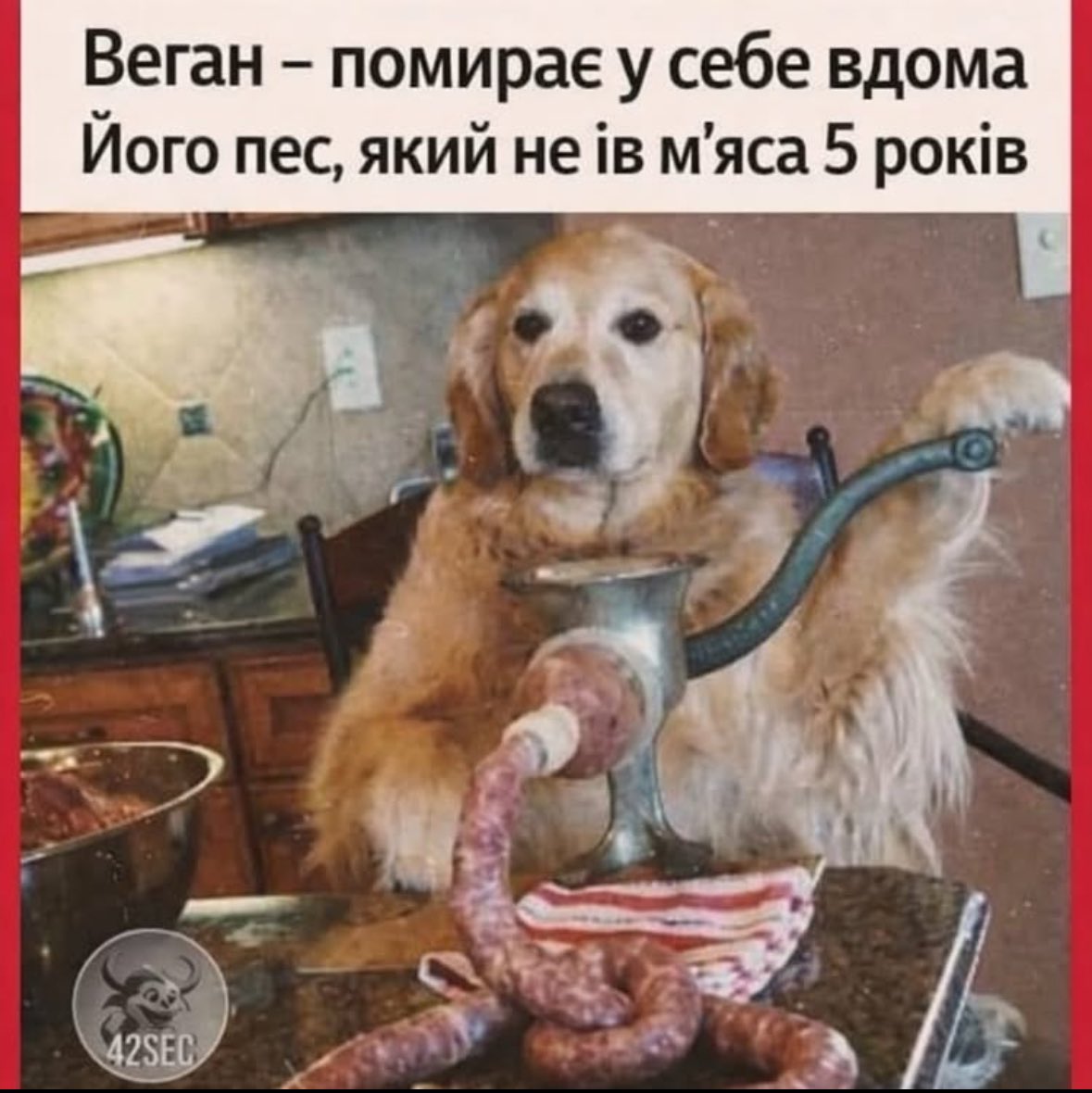 Kaszka Manna tweet media