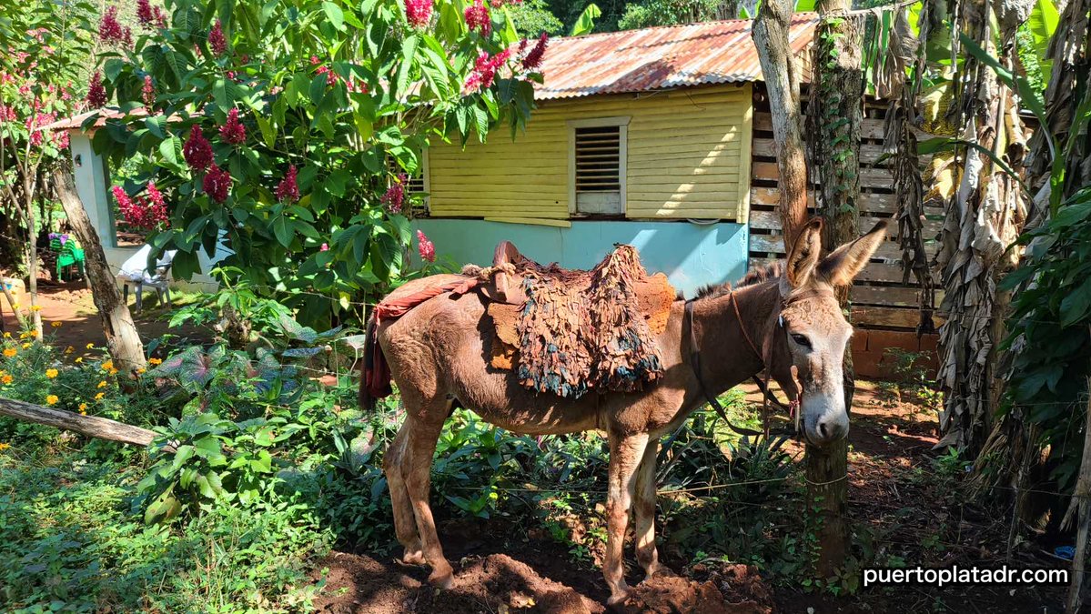 cagy | youtube/cagyjan tweet media