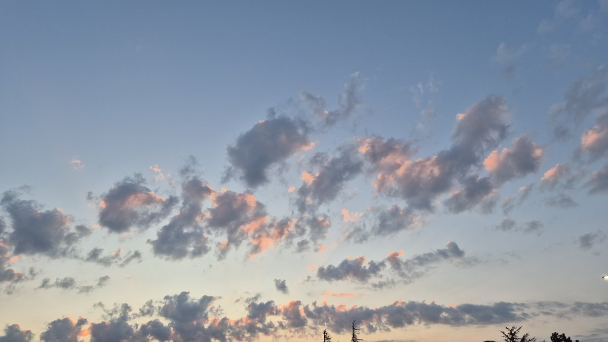 Tom d'Avignon tweet media