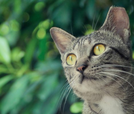 Tiffany Hamilton tweet media