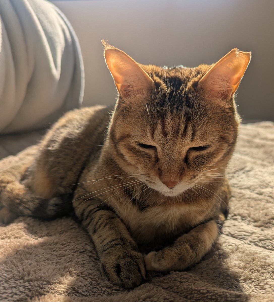 ままん@ラグオリIrisでした tweet media