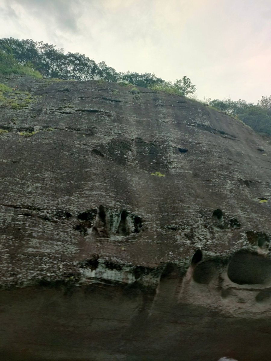 Musica Glory tweet media