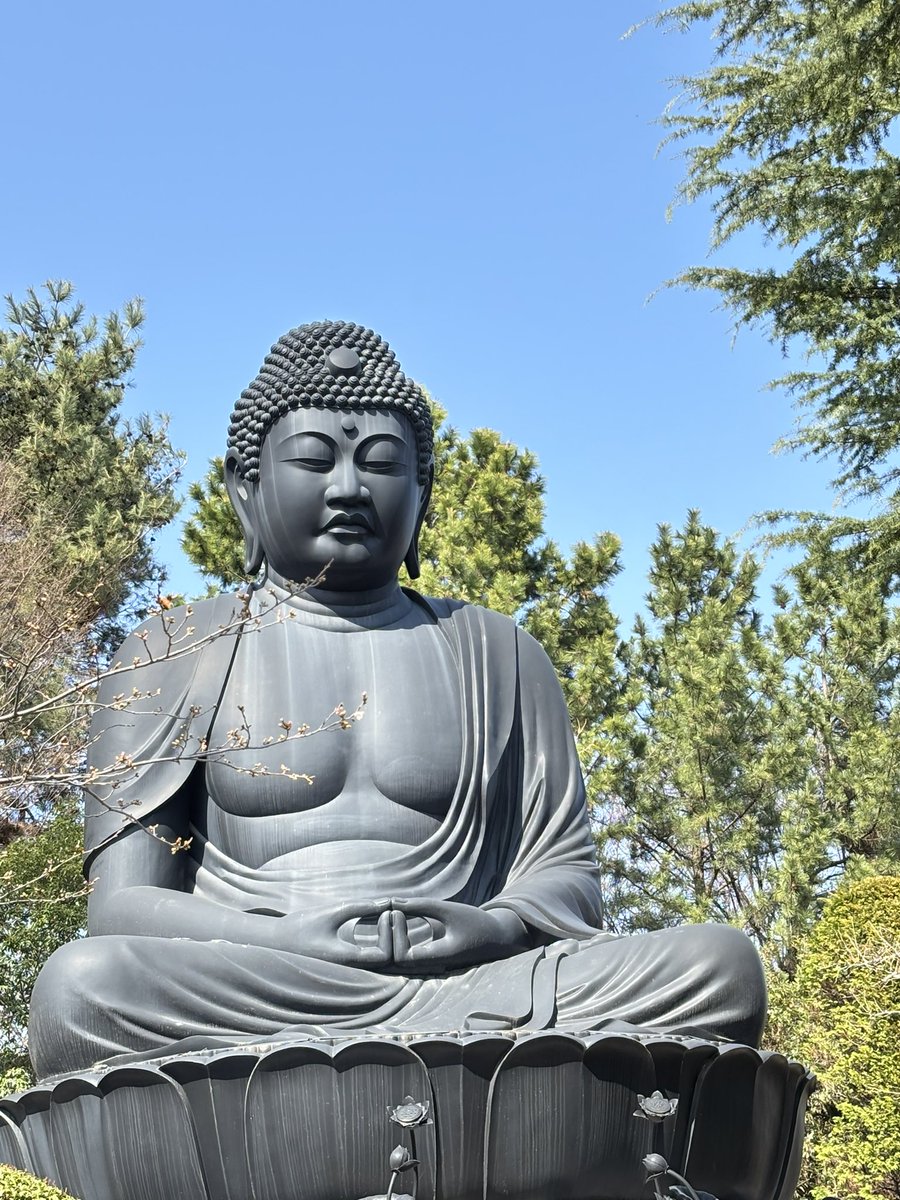 板橋区立美術館の先にある、赤塚山乗蓮寺の東京大仏も見に行きました！都内に大仏があるとは…なかなか立派なお寺でした！外国人の方が多かった印象です。