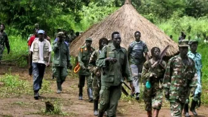 betordc's tweet image. Ituri : Nzaro assiégé, la RN44 paralysée sous la pression des #ADF 
beto.cd/actualite/dipl…