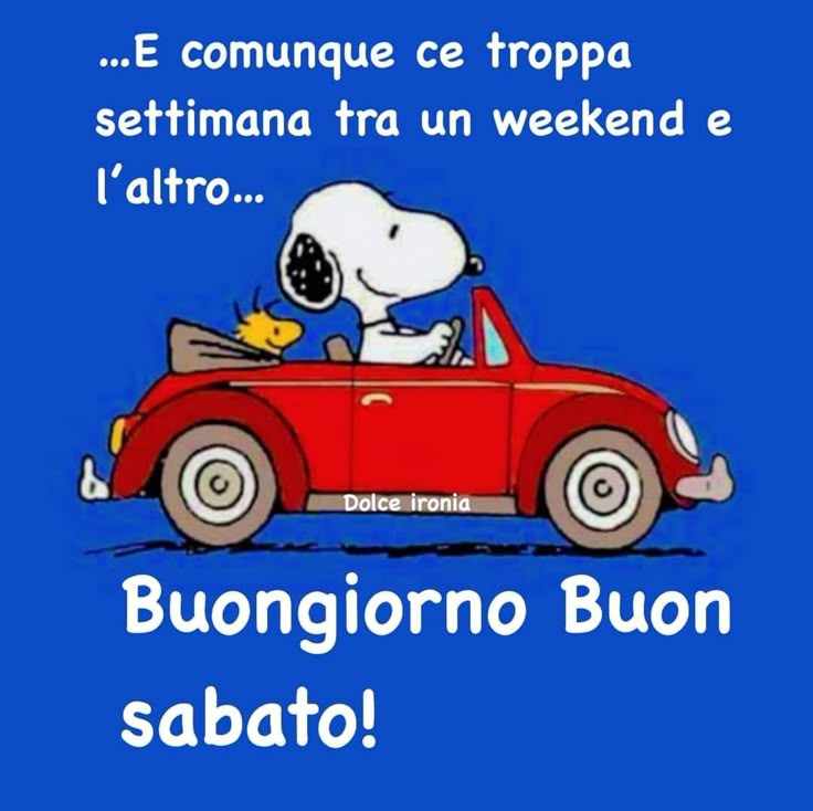 LUCE.BONET tweet media