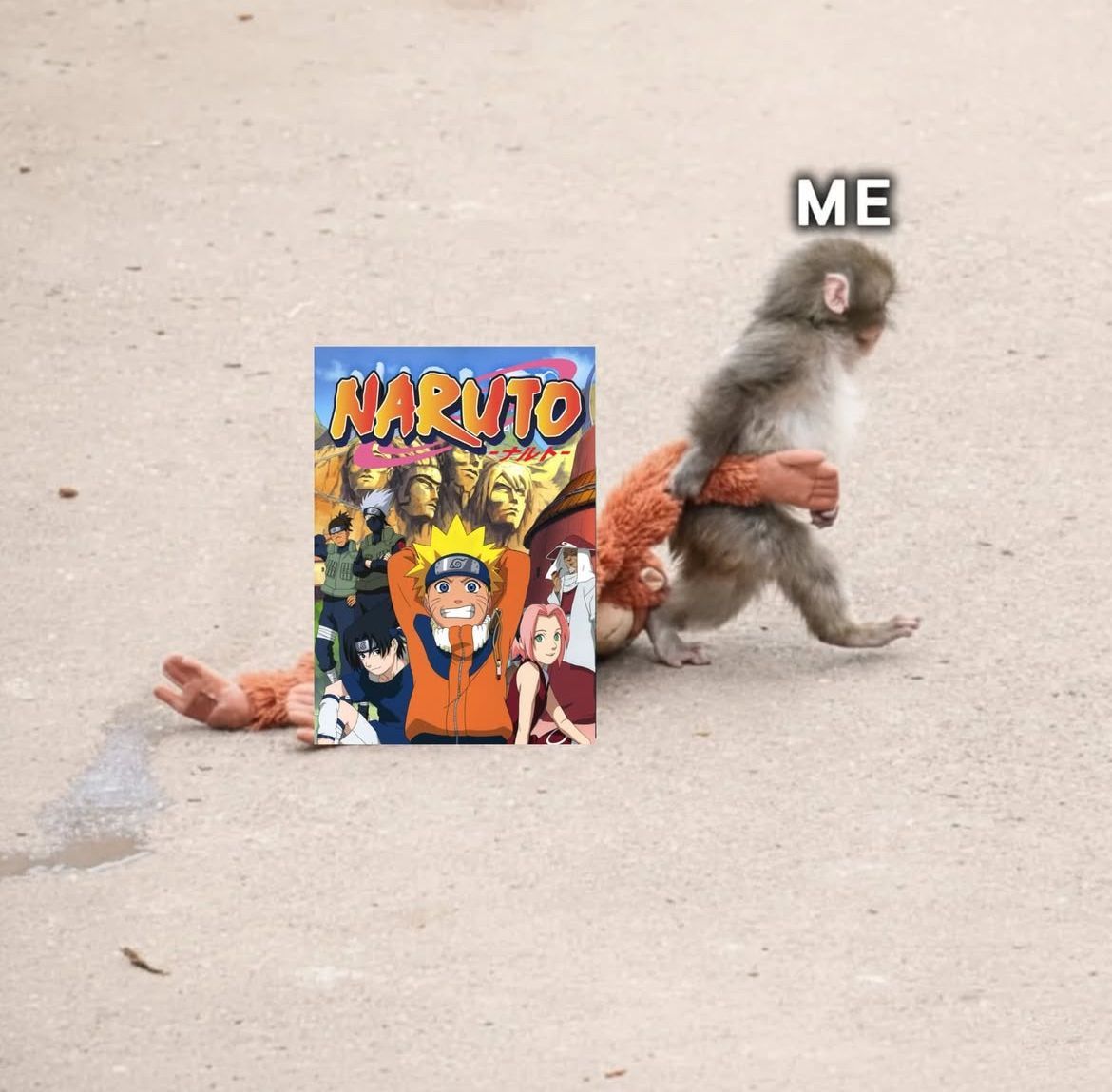 Daily Naruto tweet media