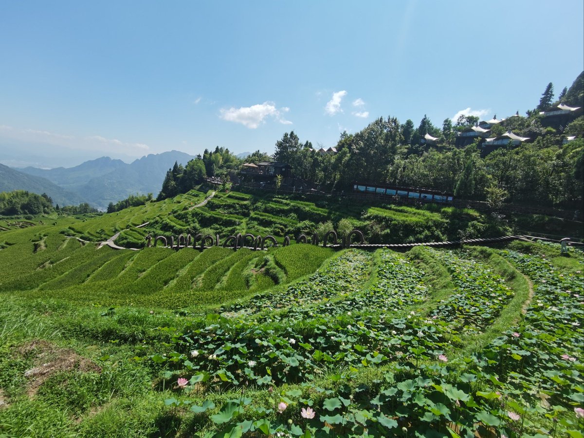 Jennifer Aguirre tweet media