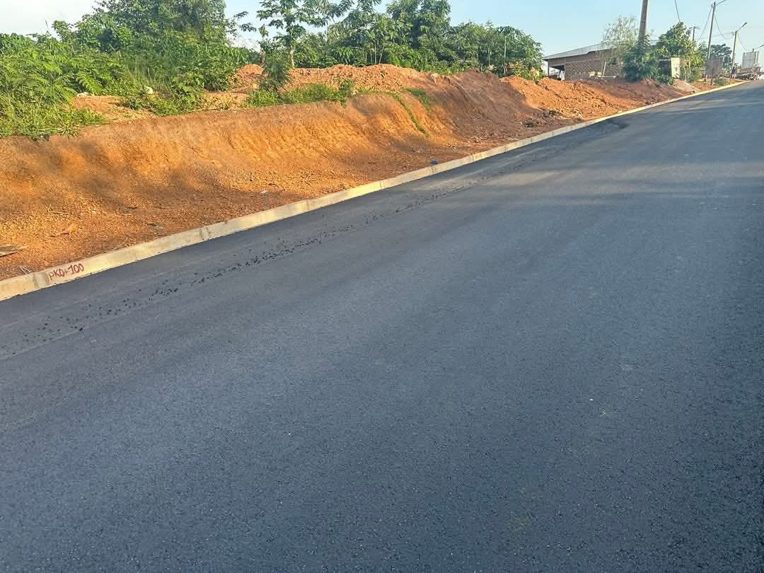 badciss ™ tweet media