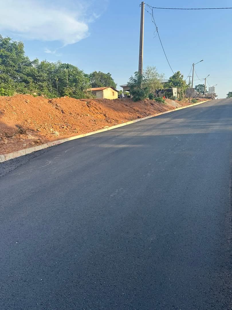 badciss ™ tweet media