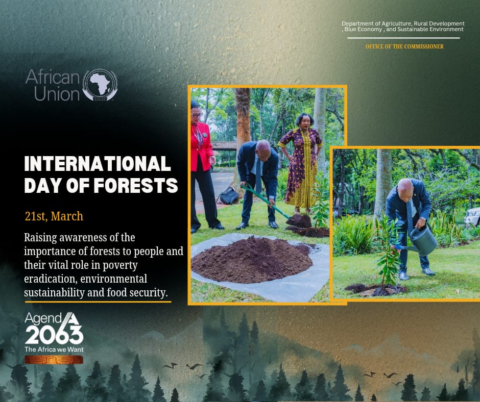 H.E Moses Vilakati tweet media