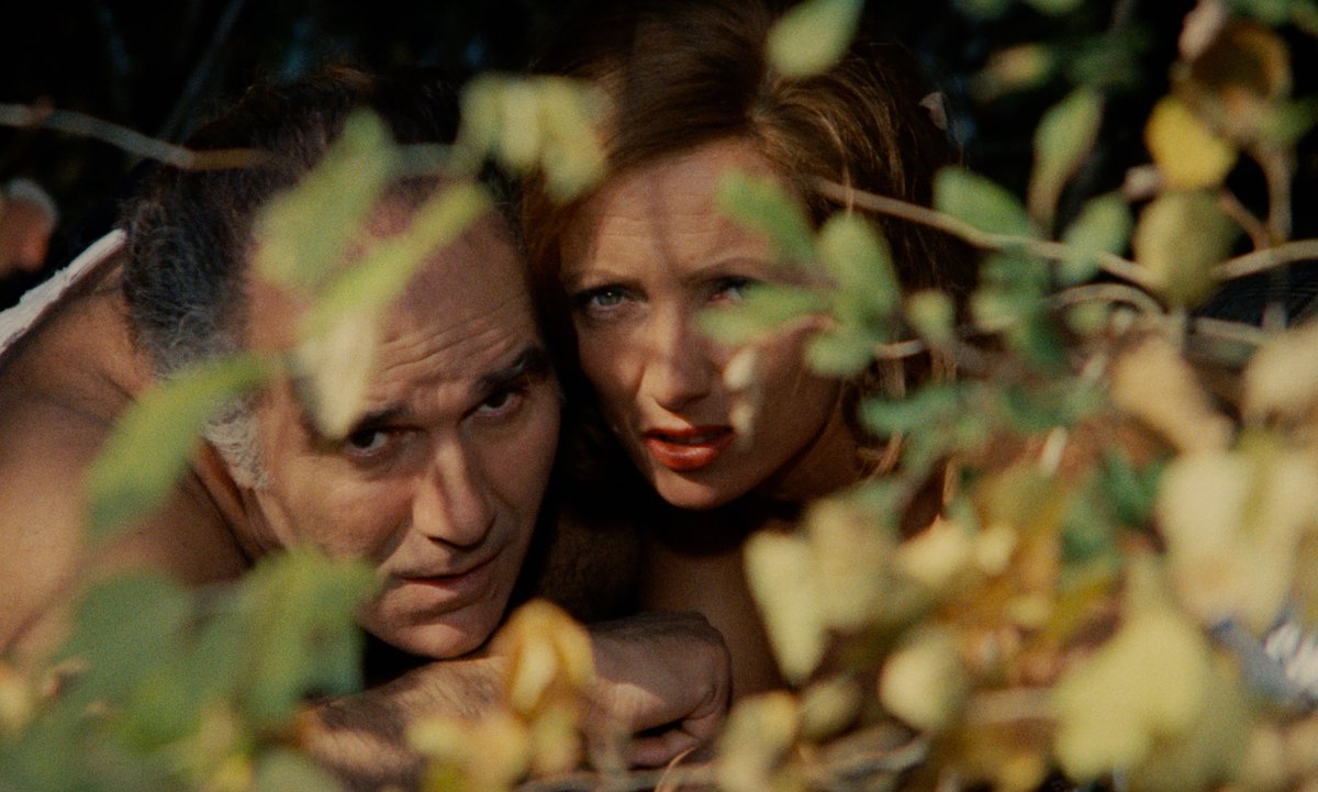 Delphine tweet media