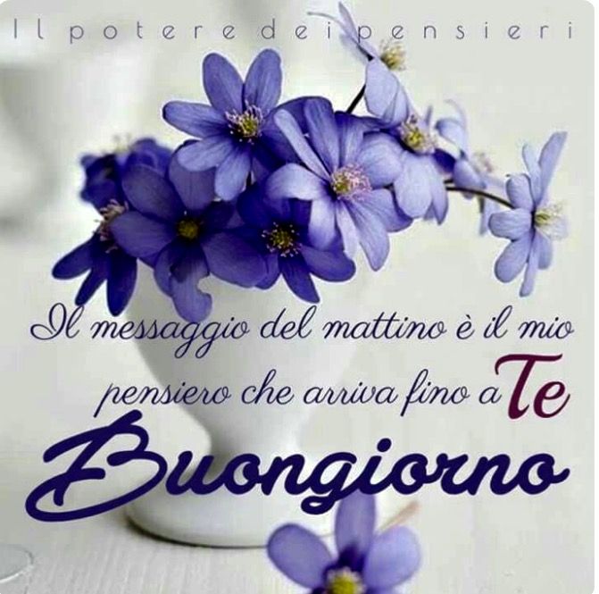 LUCE.BONET tweet media