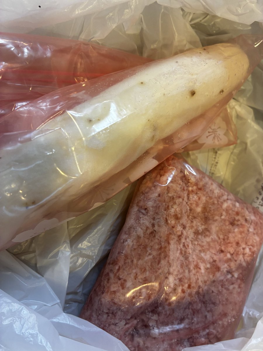 今日はちょっと集まりが悪すぎる...
もうちょっと探しに行くか

#ものごいクッキング