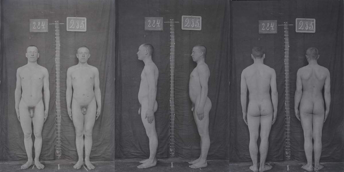 Musterung tweet media