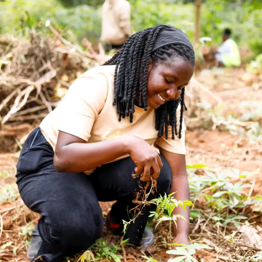 Nakyobe Daisy tweet media