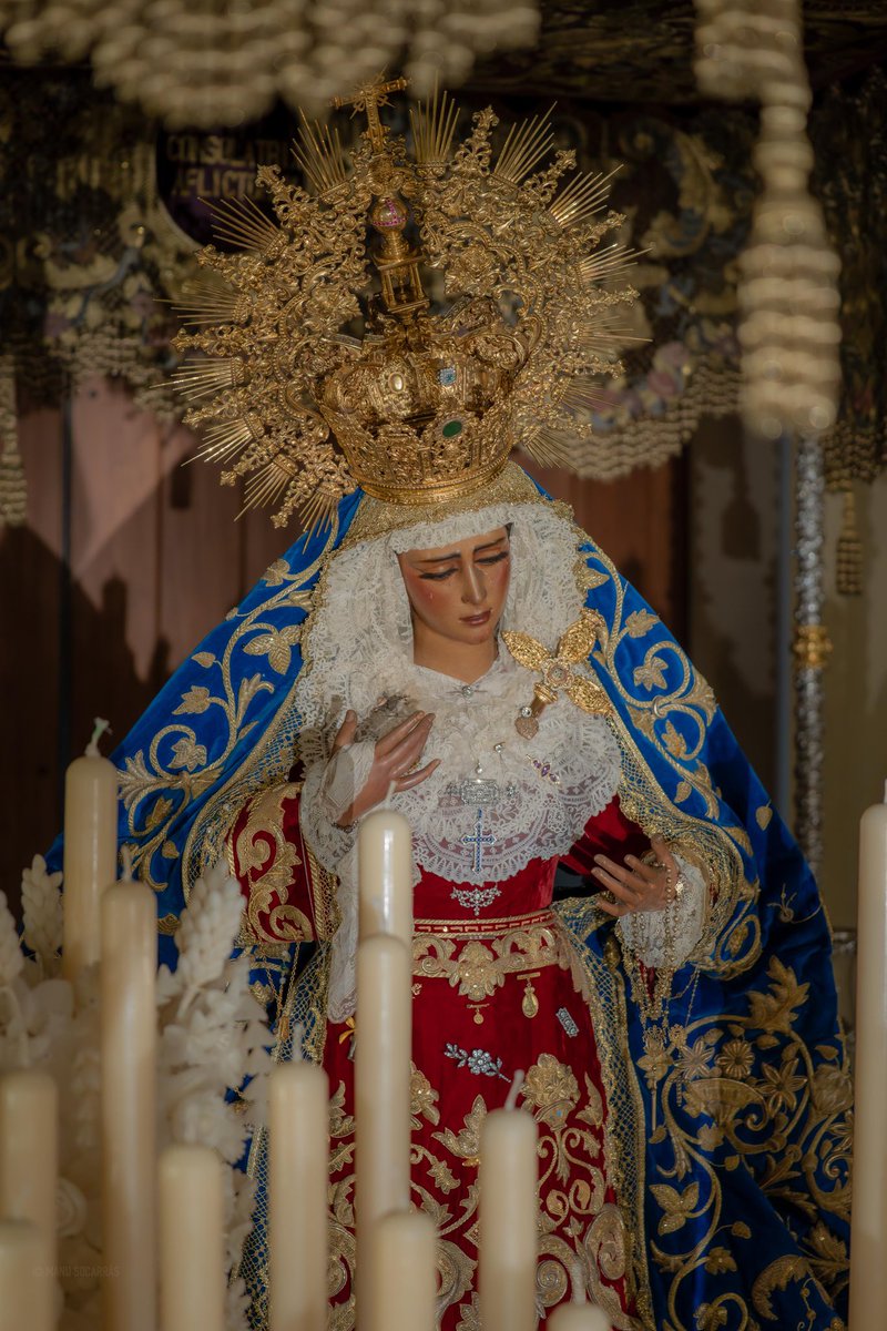 Hermandad de Los Gitanos tweet media