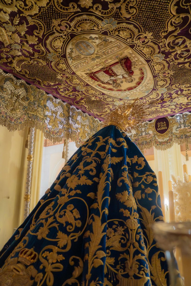 Hermandad de Los Gitanos tweet media