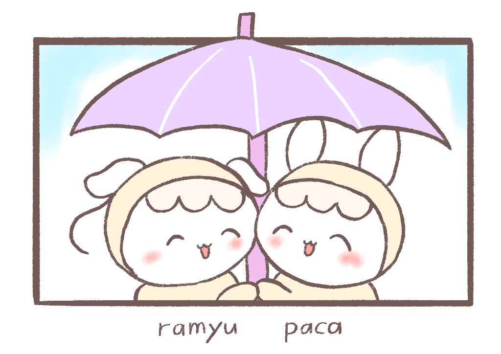 せる🦙 tweet media
