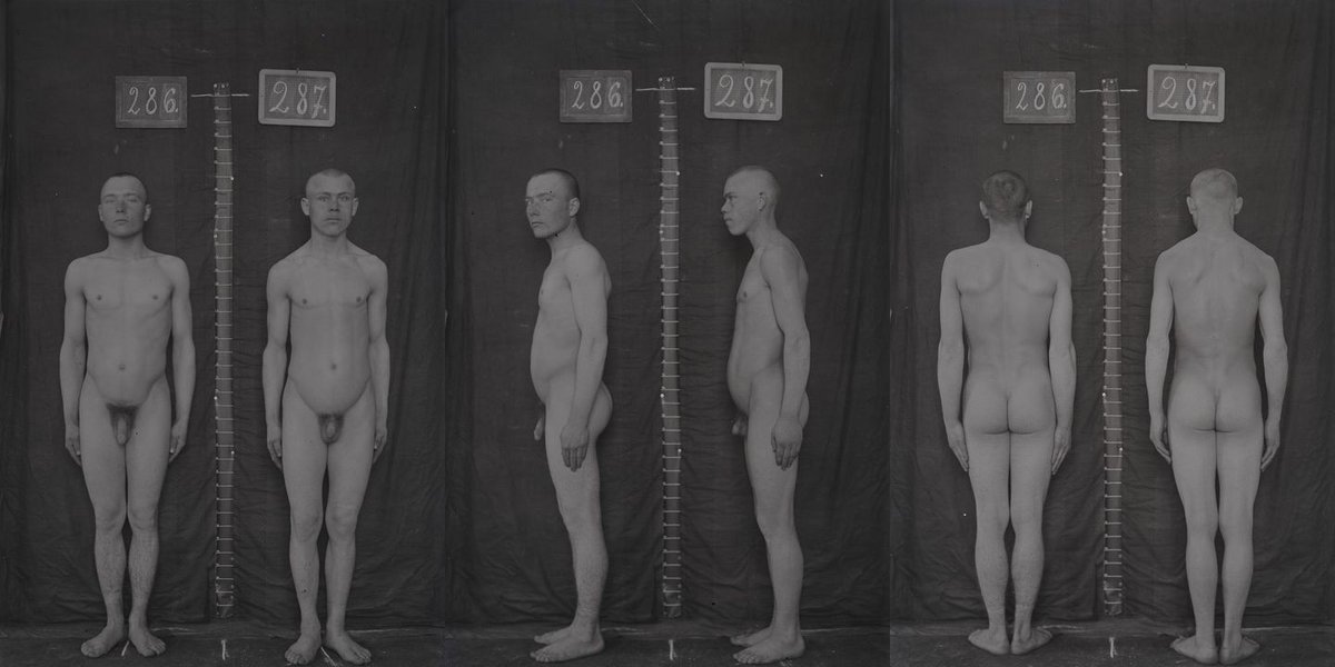 Musterung tweet media