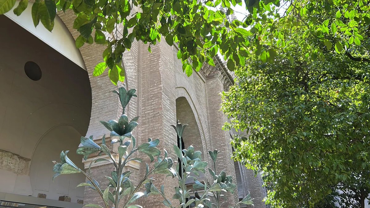 Paco Correal tweet media