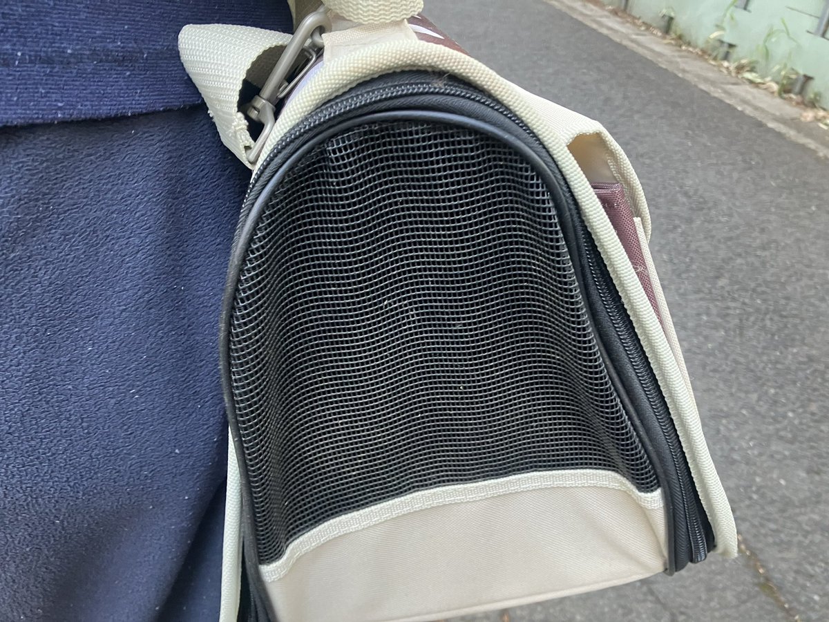 momo🍑 tweet media