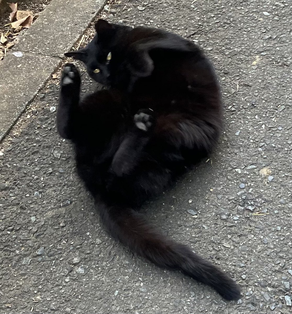 momo🍑 tweet media