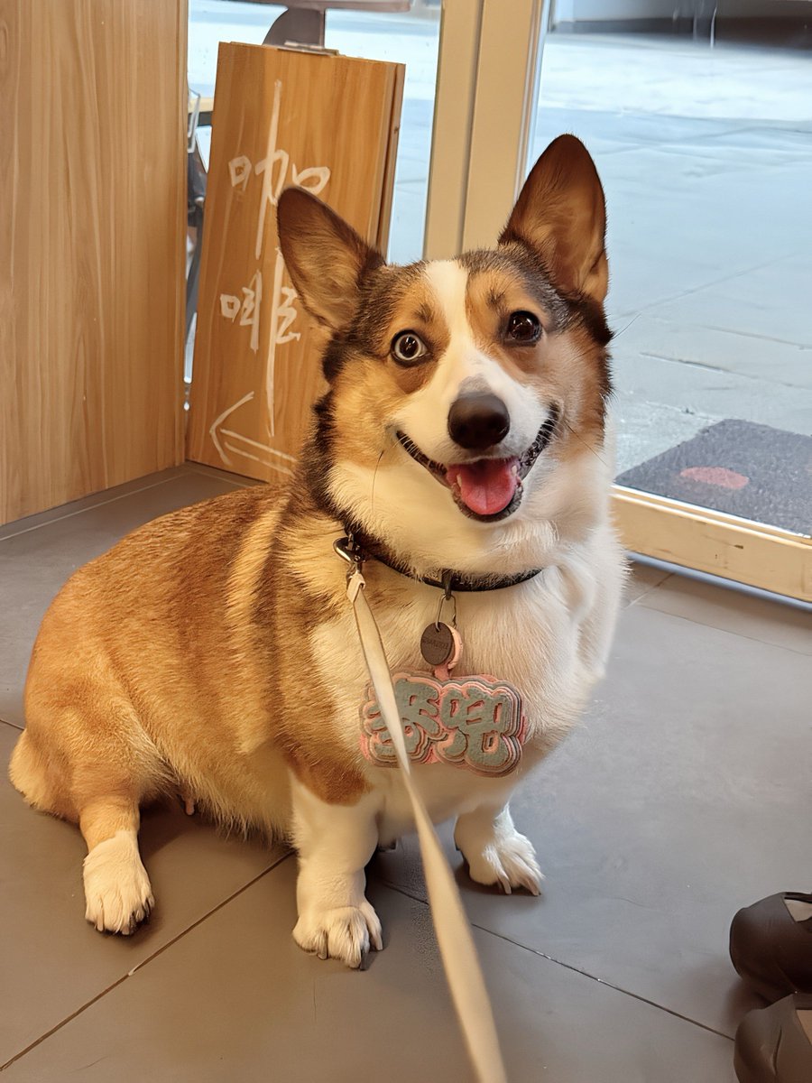 mohd rabie al najjar tweet media