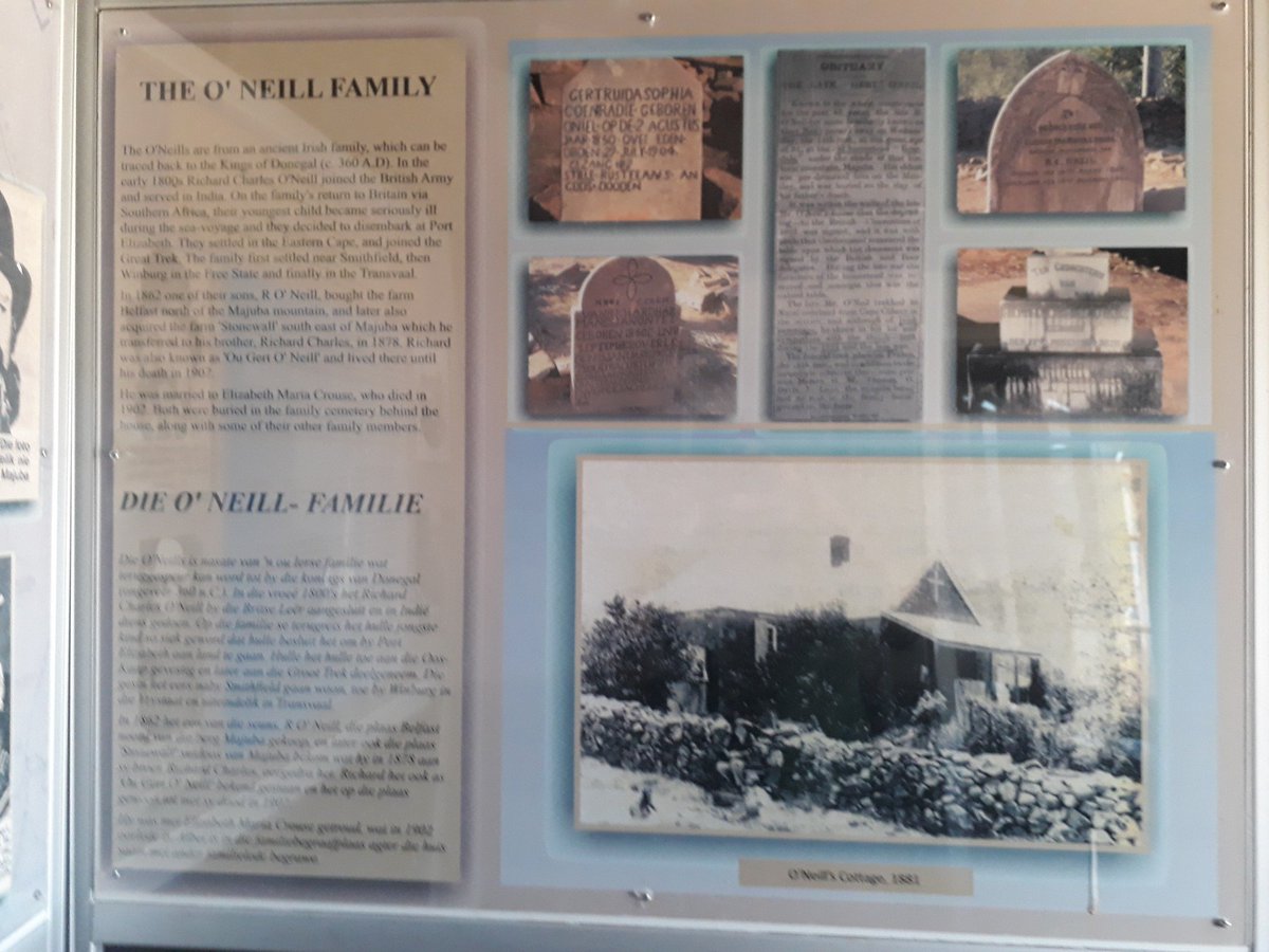 Mike the Warthog tweet media