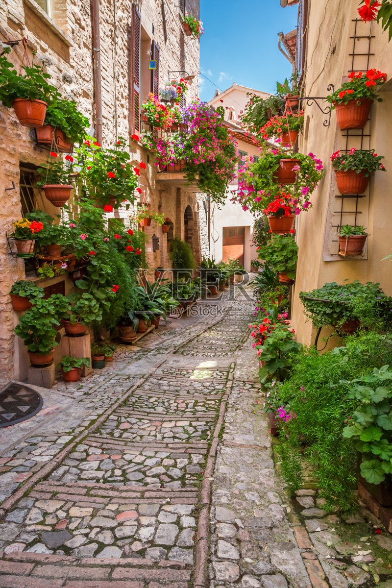 leonard handrahan tweet media