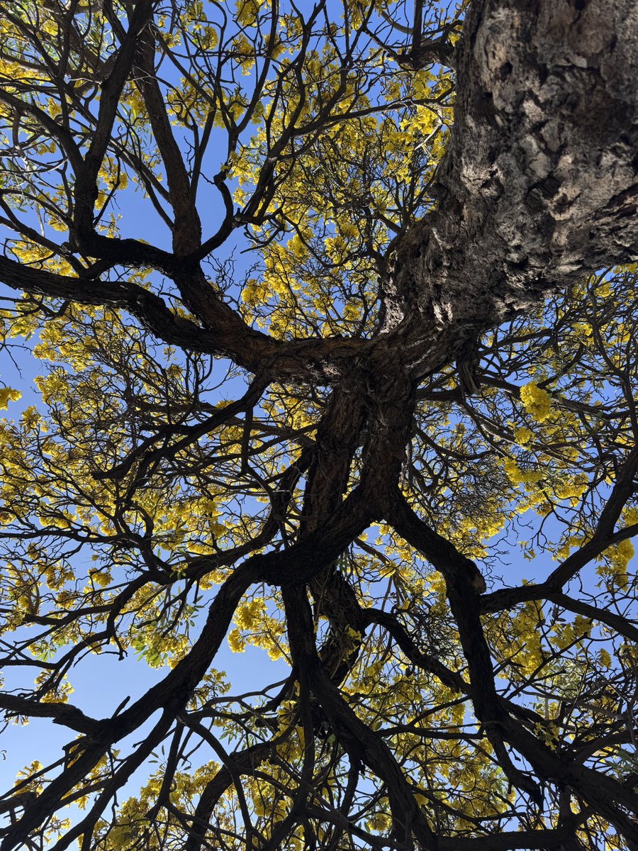 Namanbir Singh tweet media