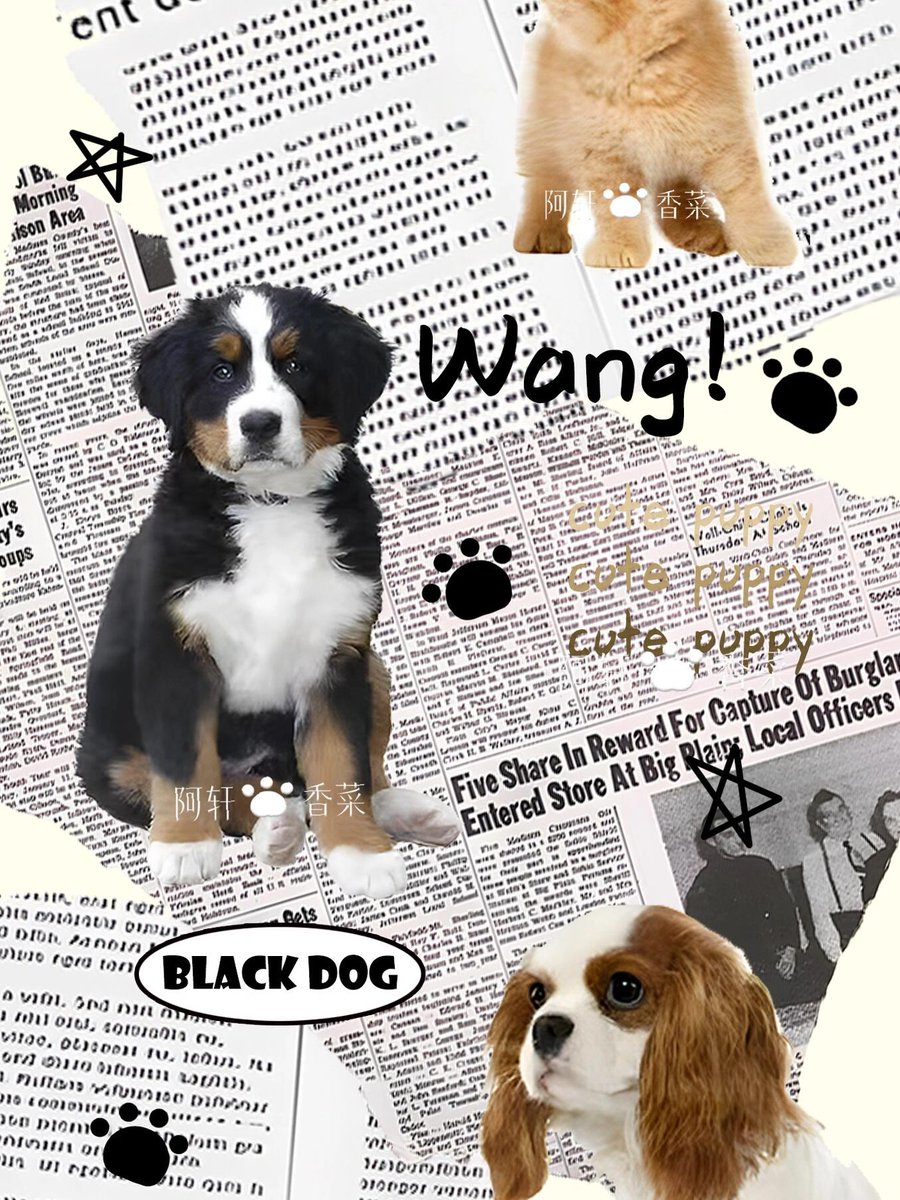 lesa waldron tweet media