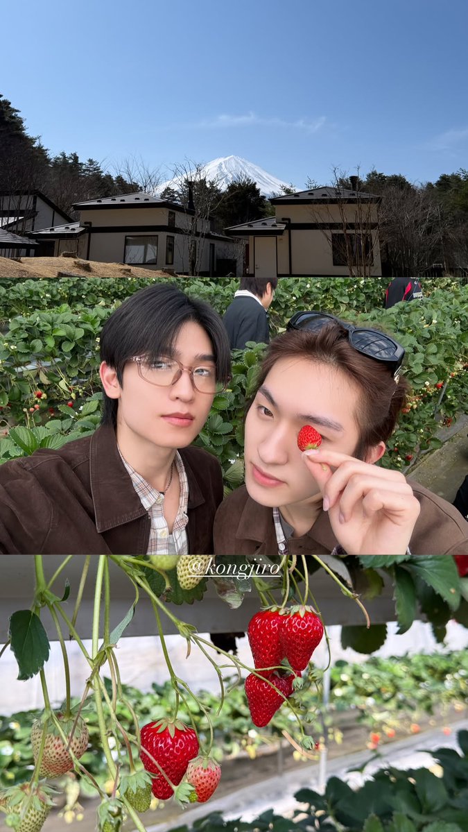 ก้องจิโร่ tweet media