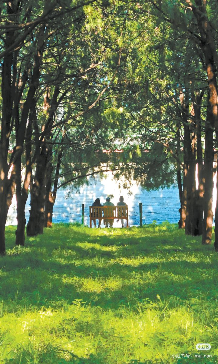 billy he tweet media