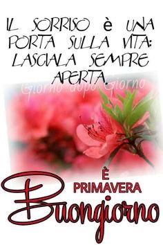 suttora marina tweet media