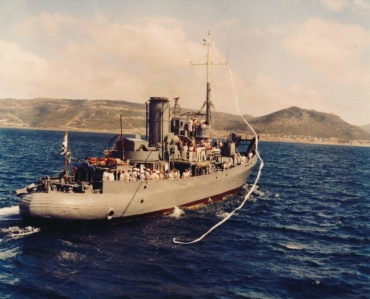 Mike the Warthog tweet media