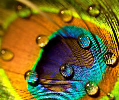 Delanithefirst tweet media